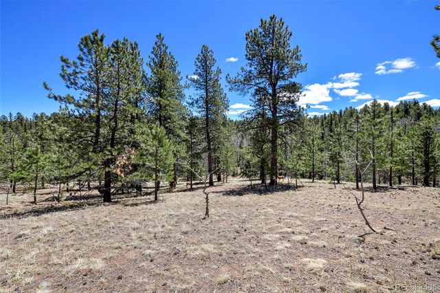 112 Blue Jay Lane, Florissant, CO 80816