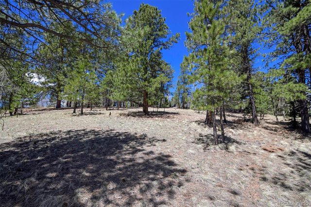 112 Blue Jay Lane, Florissant, CO 80816