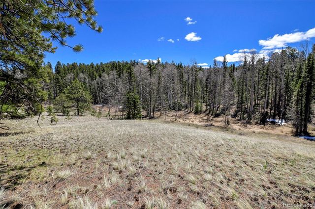 112 Blue Jay Lane, Florissant, CO 80816