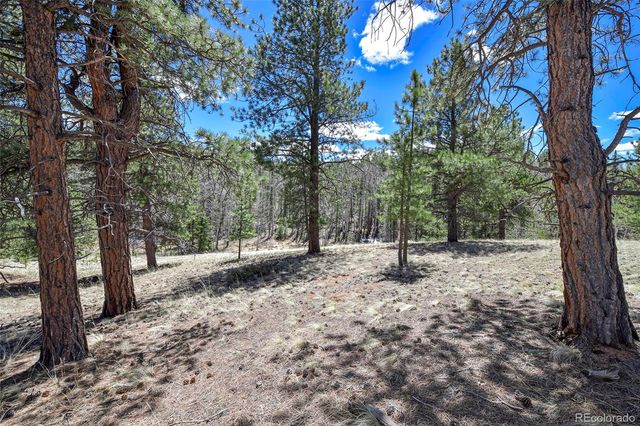 112 Blue Jay Lane, Florissant, CO 80816