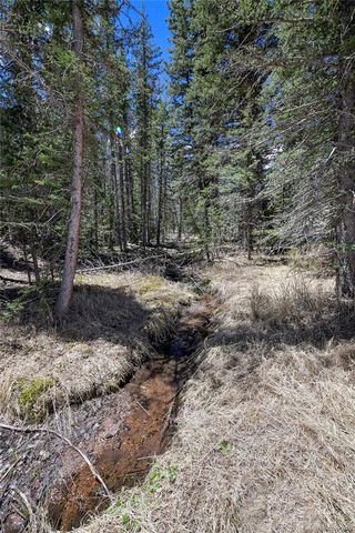 112 Blue Jay Lane, Florissant, CO 80816