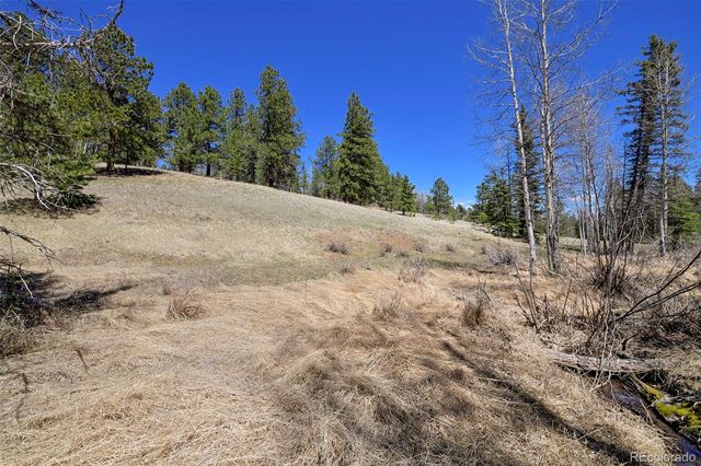 112 Blue Jay Lane, Florissant, CO 80816