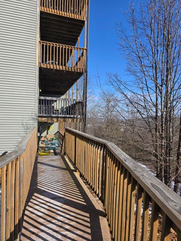 388 Notch Lane 5b, Branson West, MO 65737