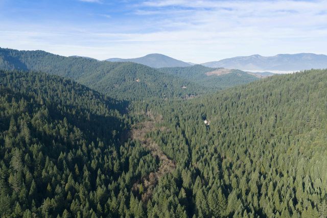 601 McMullen Creek Road, Selma, OR 97538