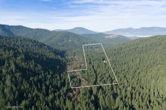 601 McMullen Creek Road, Selma, OR 97538