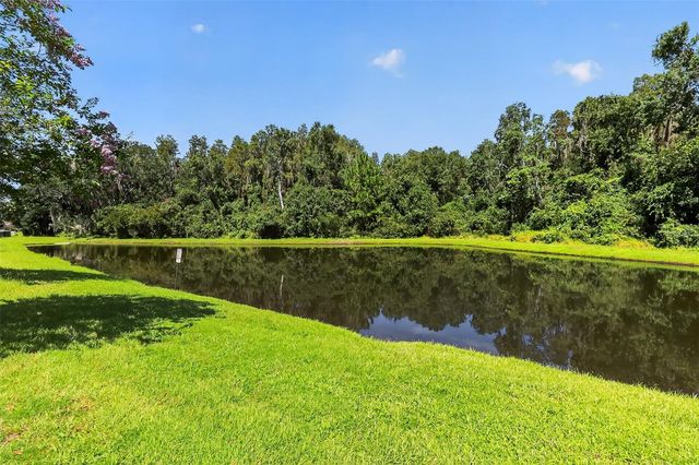 1677 LUDINGTON AVENUE, Wesley Chapel, FL 33543