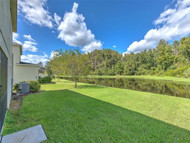 1677 LUDINGTON AVENUE, Wesley Chapel, FL 33543
