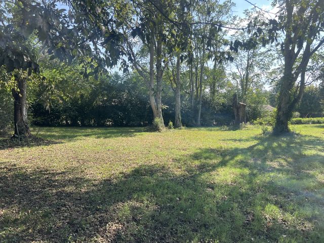 217 Wyly Dr, New Johnsonville, TN 37134