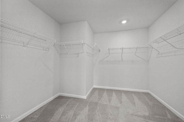 1814 Alpine Summer Lane, Apex, NC 27502