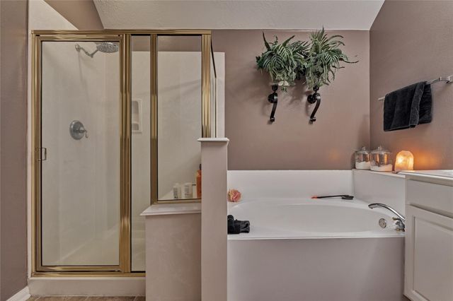 119 N Rambling Ridge Place, The Woodlands, TX 77385