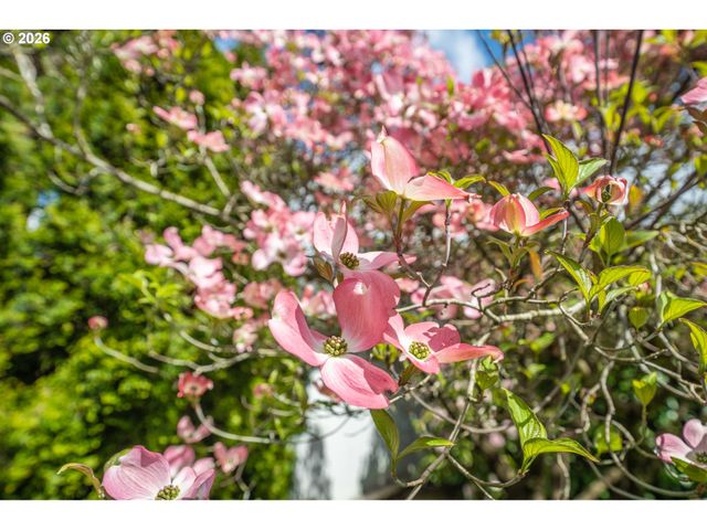 1934 Se 58TH Ave, Portland, OR 97215