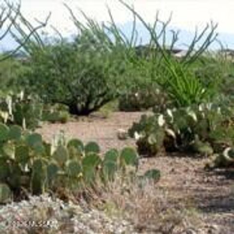 17180 S Scarlet Cliff Place, Corona De Tucson, AZ 85641