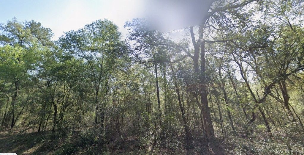 9333 N Kirkland Terrace, Dunnellon, FL 34434
