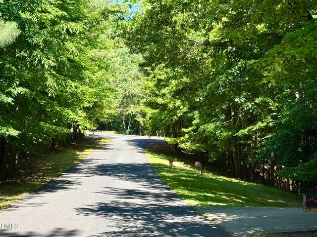158 Danning Drive, Chapel Hill, NC 27516