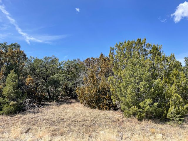 29 Canon Escondido, Sandia Park, NM 87047