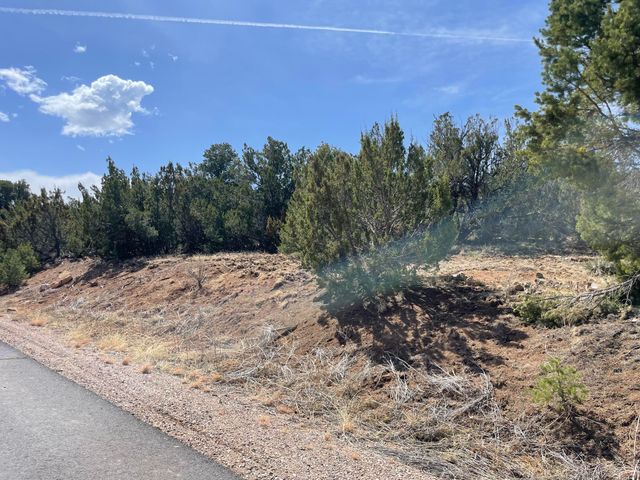 29 Canon Escondido, Sandia Park, NM 87047