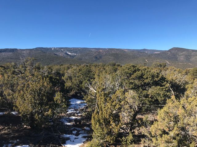 29 Canon Escondido, Sandia Park, NM 87047