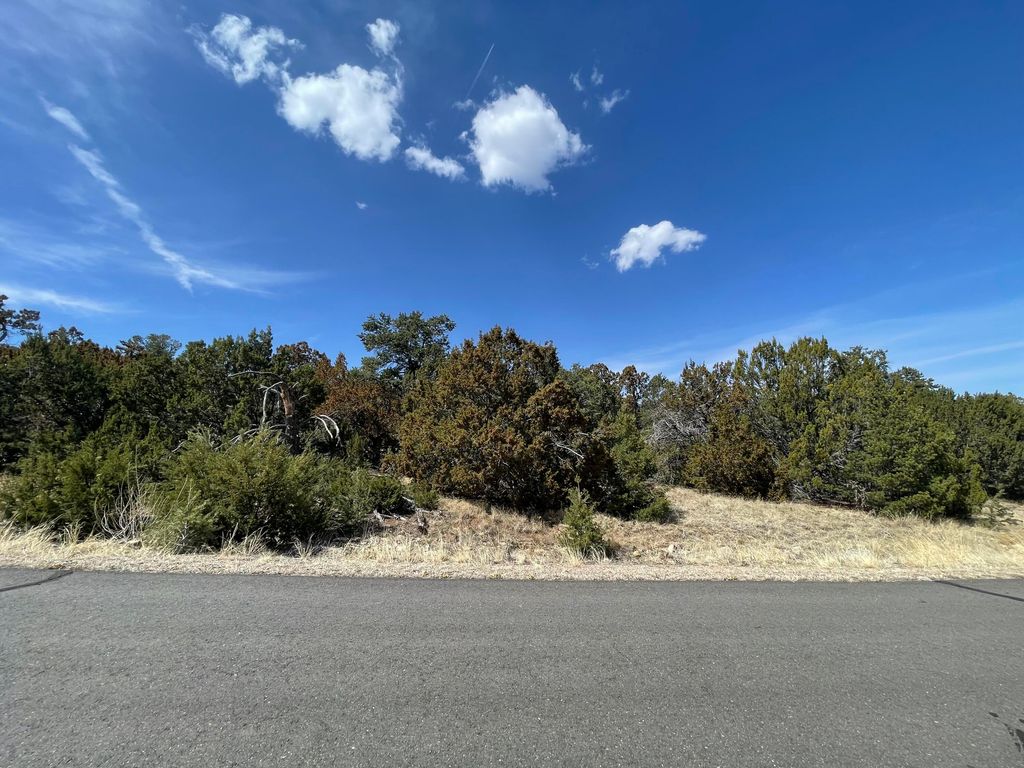 29 Canon Escondido, Sandia Park, NM 87047