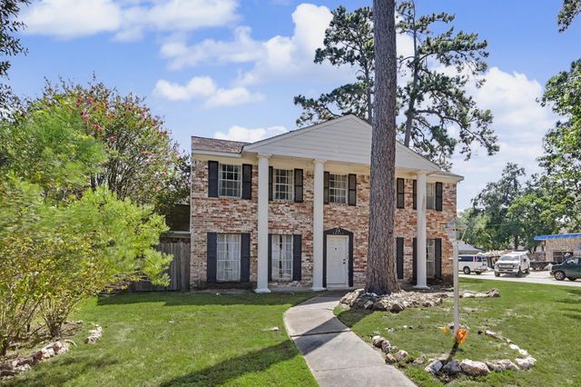 28902 Holly Hill Drive, Shenandoah, TX 77381