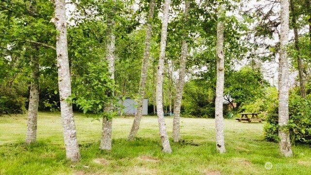 30714 N Place, Ocean Park, WA 98640