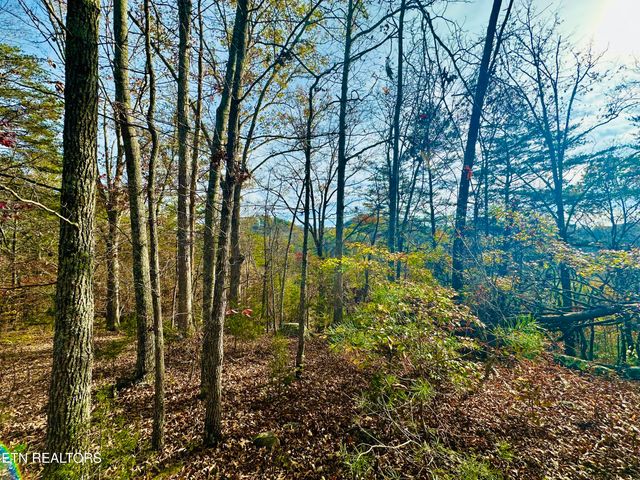 888 Joppa Mountain Rd, Rutledge, TN 37861