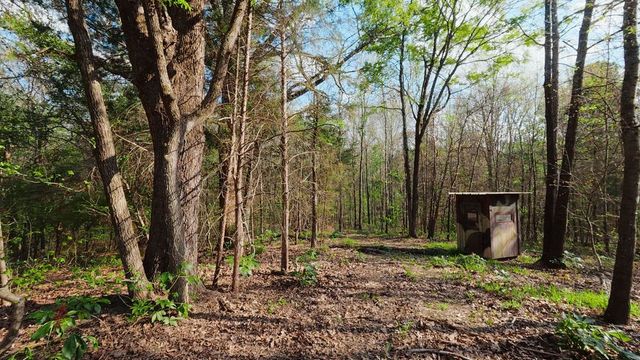 1132 County Road 4470, Winnsboro, TX 75494