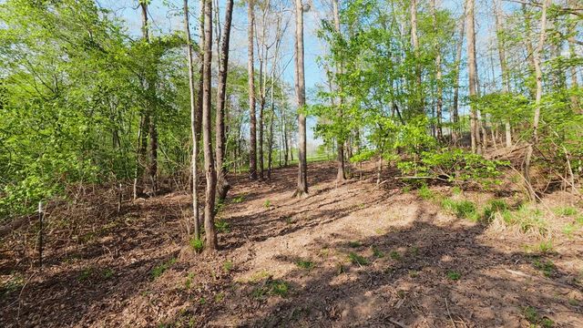 1132 County Road 4470, Winnsboro, TX 75494