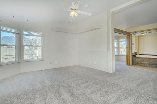 16370 County Road 356-12, Buena Vista, CO 81211