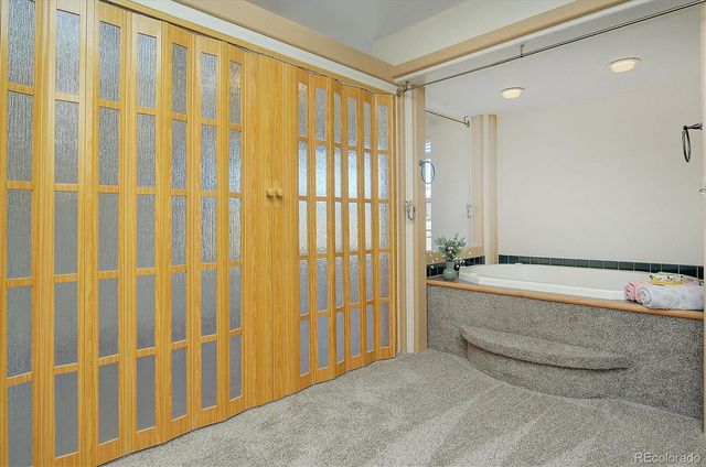 16370 County Road 356-12, Buena Vista, CO 81211