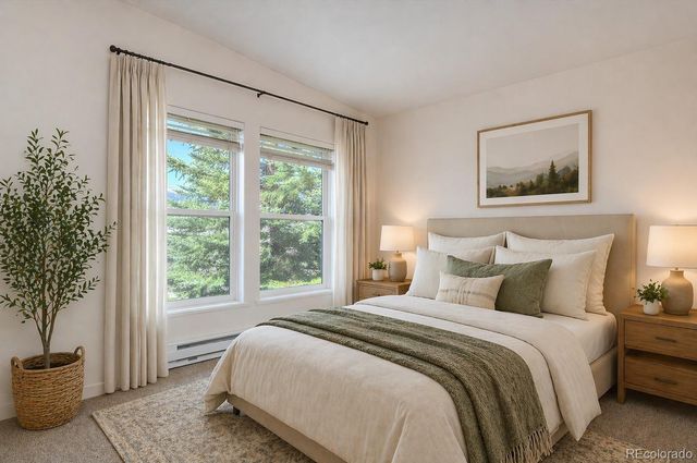 16370 County Road 356-12, Buena Vista, CO 81211