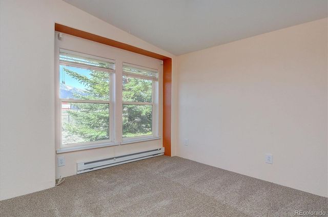 16370 County Road 356-12, Buena Vista, CO 81211