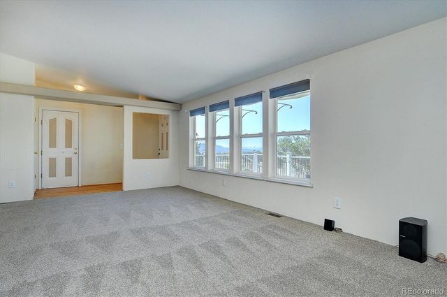 16370 County Road 356-12, Buena Vista, CO 81211