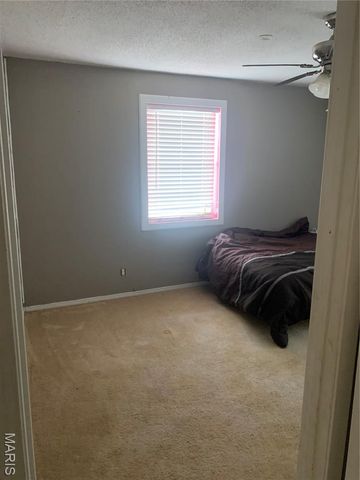 205 N Maple Street, Bragg City, MO 63827