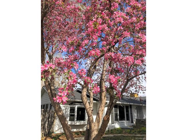 99 S Holland St, Lakewood, CO 80226