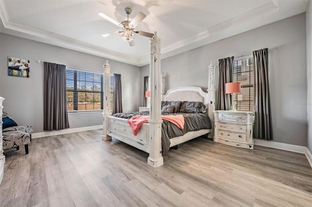 19529 HAYDEN LAKE COURT, Land O Lakes, FL 34638