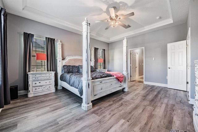 19529 HAYDEN LAKE COURT, Land O Lakes, FL 34638