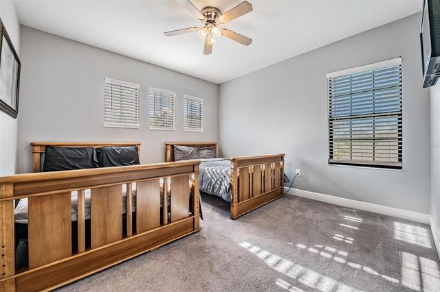 19529 HAYDEN LAKE COURT, Land O Lakes, FL 34638