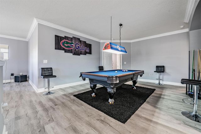 19529 HAYDEN LAKE COURT, Land O Lakes, FL 34638