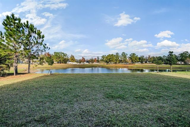 19529 HAYDEN LAKE COURT, Land O Lakes, FL 34638