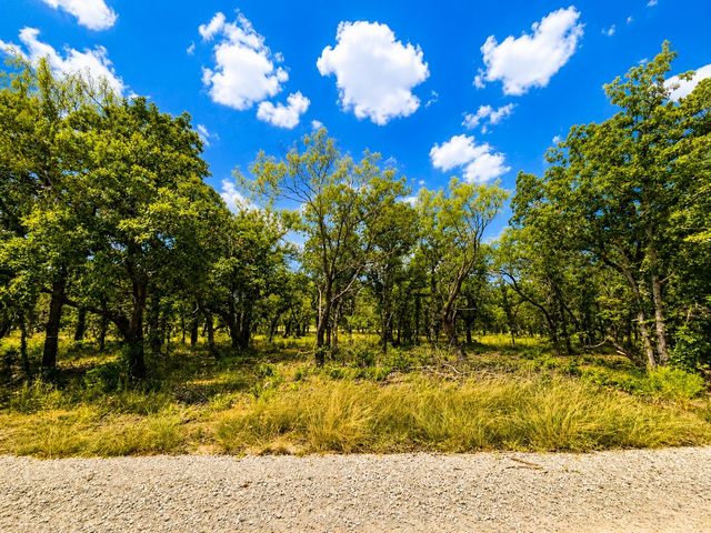 0000 Martins Lane, Bridgeport, TX 76426
