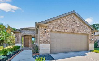 269 Flaxen Chestnut, The Woodlands, TX 77382