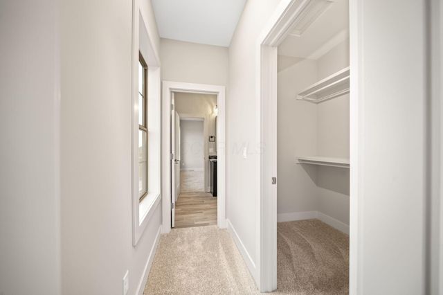 7029 Snowdrop Court, Dublin, OH 43016