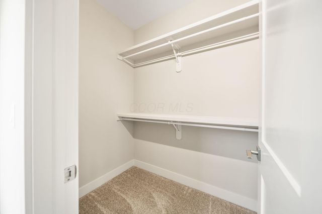 7029 Snowdrop Court, Dublin, OH 43016