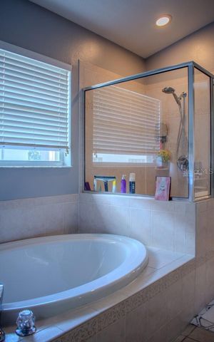 18919 PLACE MARQUETTE, Lutz, FL 33558