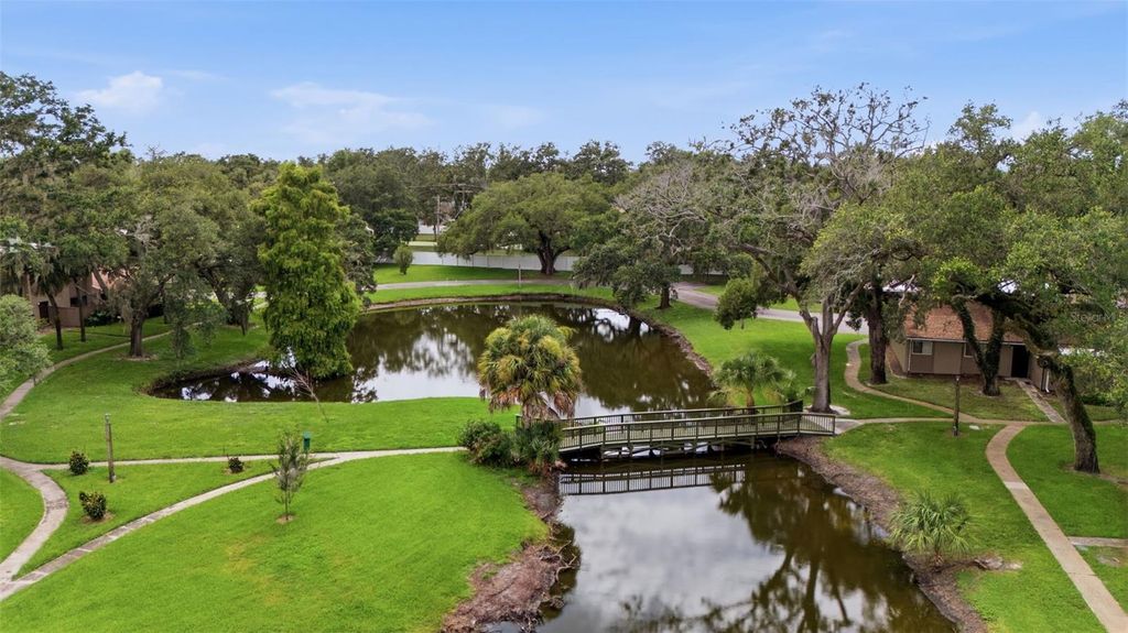 Image 22 of property listing at 7906 TANGERINE DRIVE, Tampa, FL 33637