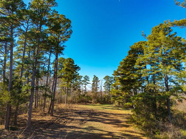 14817 Malberg Road, Cabool, MO 65689