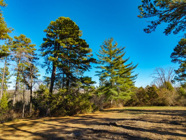 14817 Malberg Road, Cabool, MO 65689