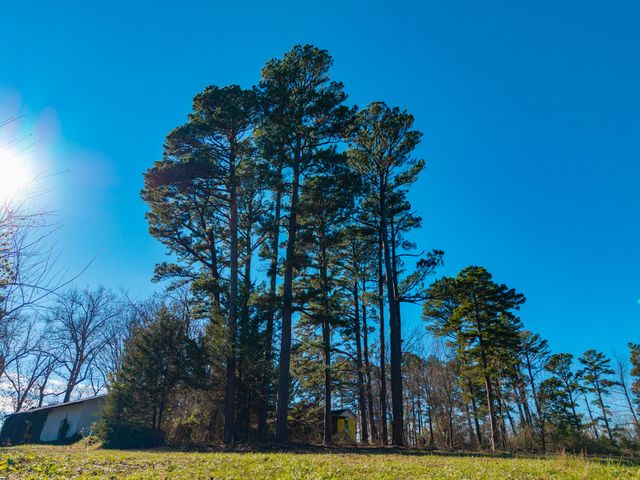 14817 Malberg Road, Cabool, MO 65689