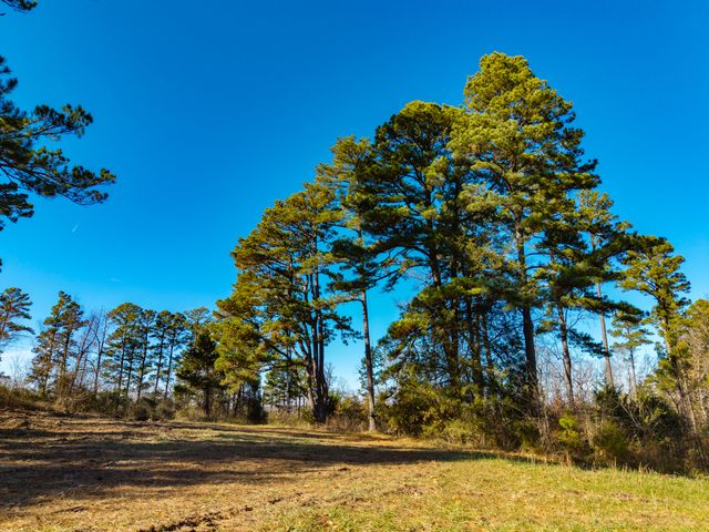 14817 Malberg Road, Cabool, MO 65689