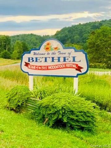 3 Burr Road, Cochecton, NY 12726